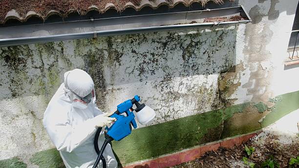 Top rated local Mold Remediation specialists in Richland, PA